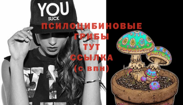 молекула духа Абинск