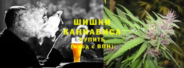 тгк Абаза